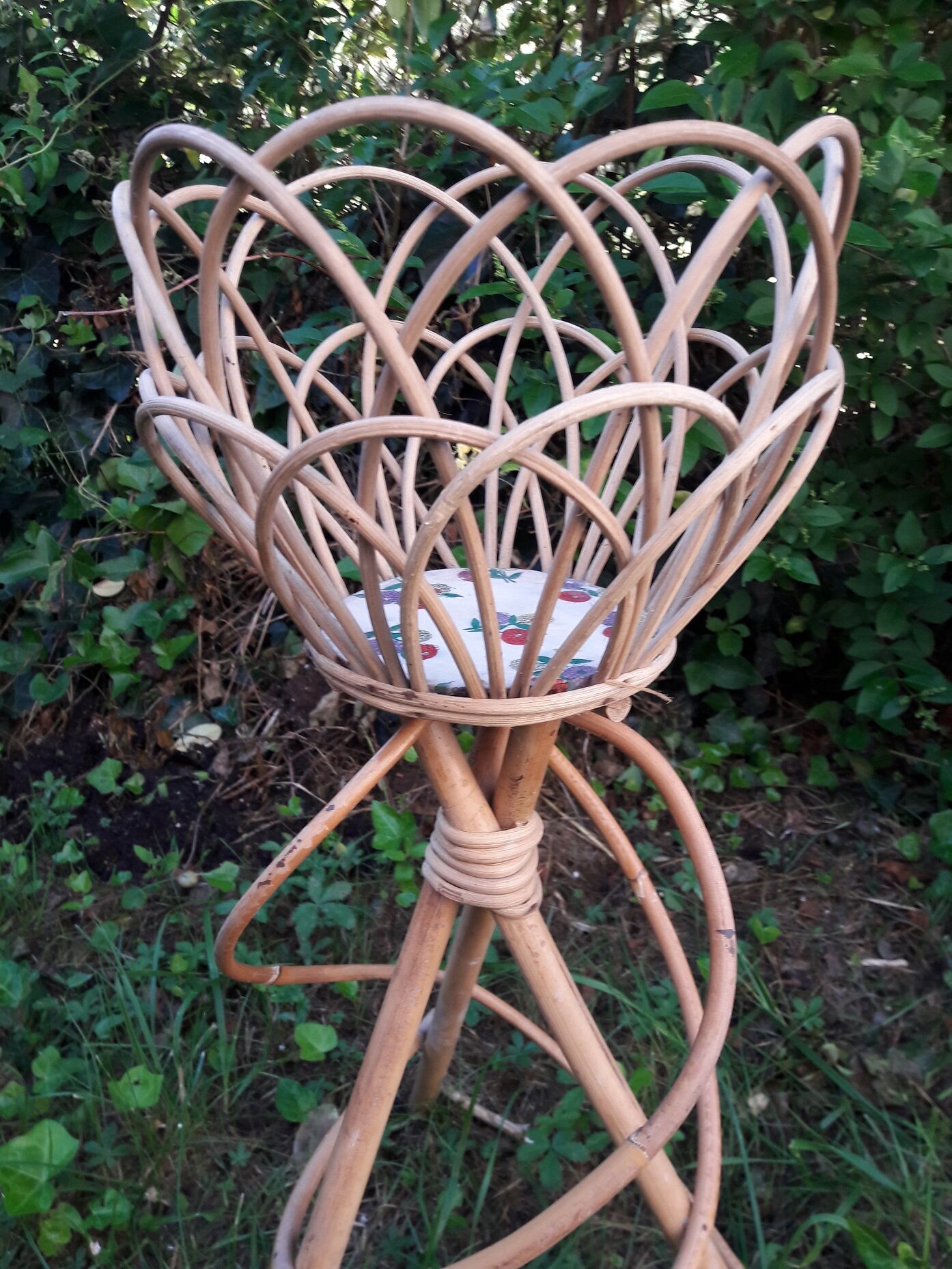 Rattan plant holder