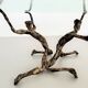 Salvino marsura vintage bronze handcrafted trinidad brutalist coffee table, 1960