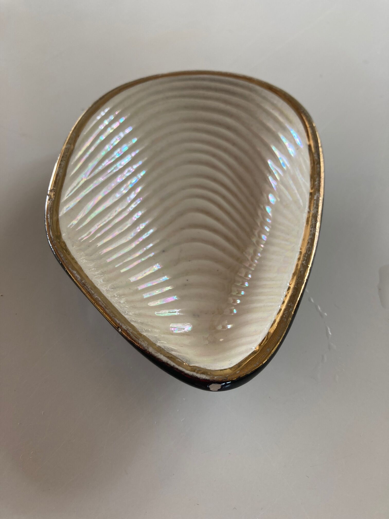 Shell-shaped cup