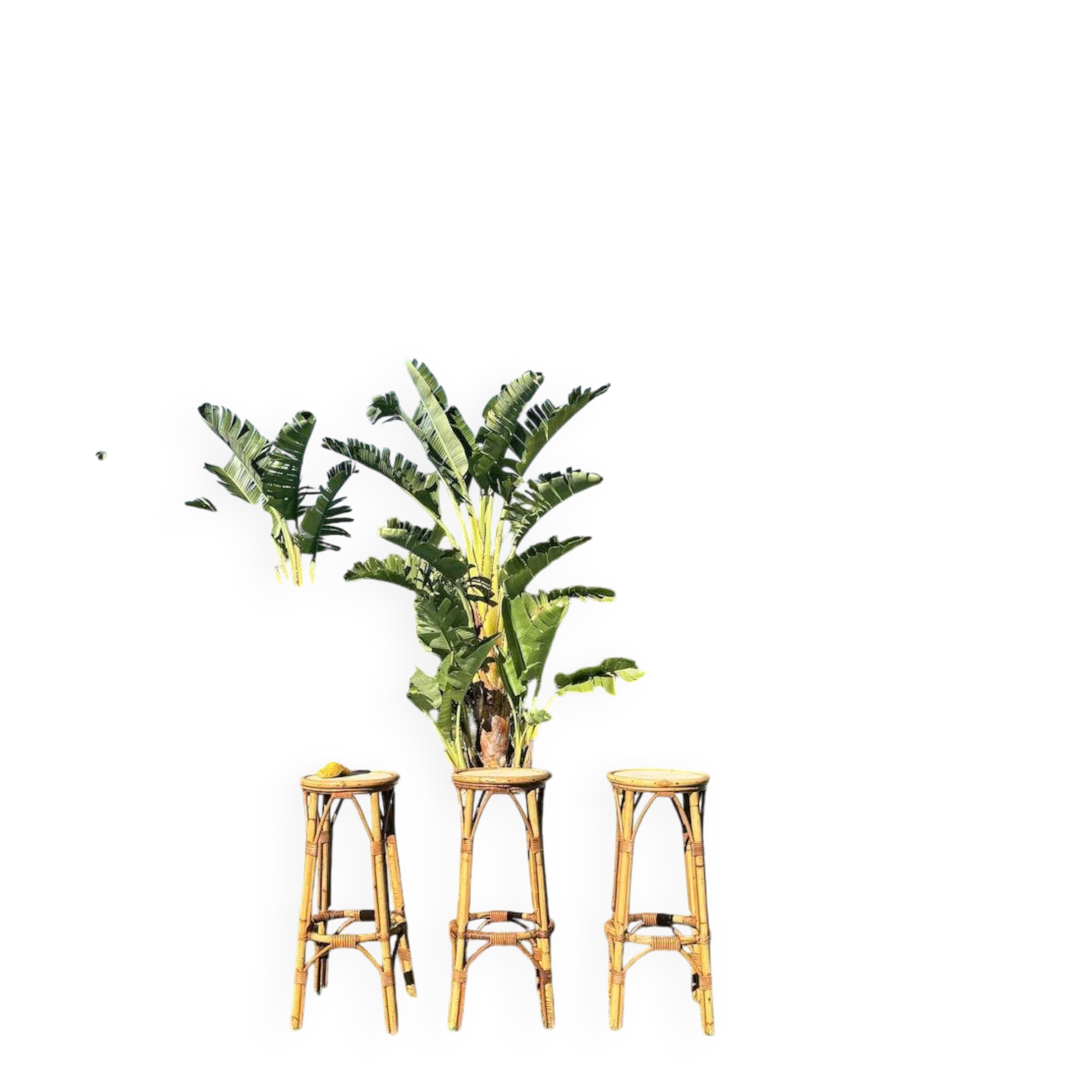 3 tabourets rotin vintage