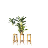 3 tabourets rotin vintage