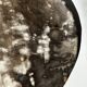 Dish in petrified wood