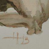 " naked hidden face " by roger coppe