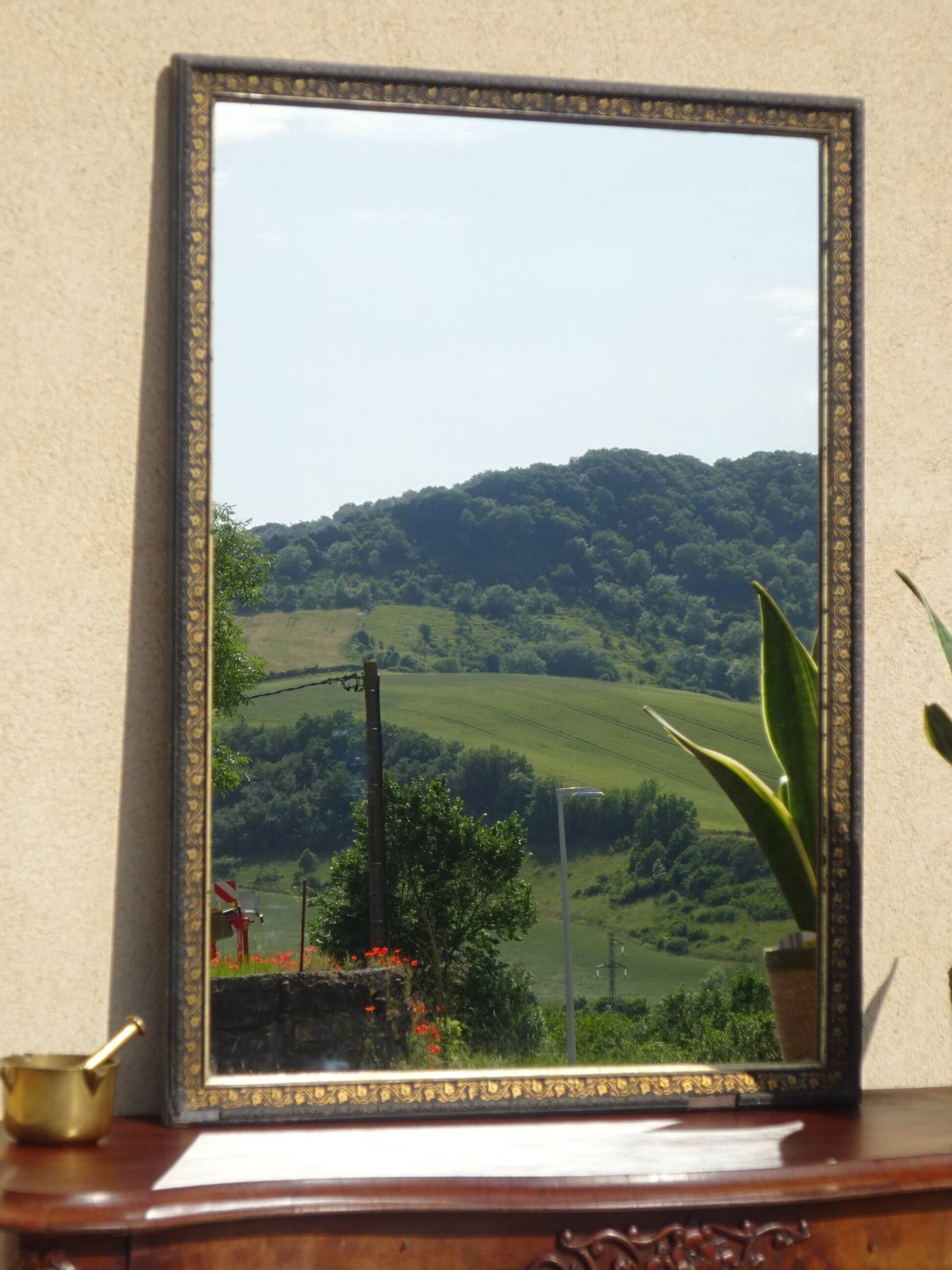 Mirror with black and gold frame, embossed vine leaves