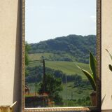 Mirror with black and gold frame, embossed vine leaves