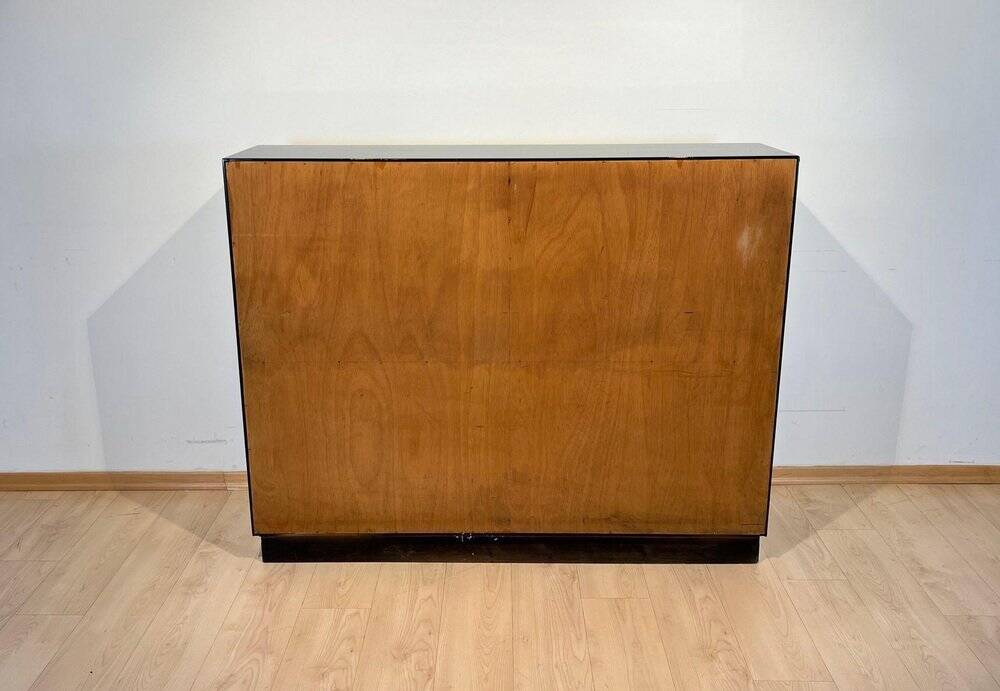 Vintage Bauhaus Office Cabinet in Black Lacquer and Mahogany, 1930