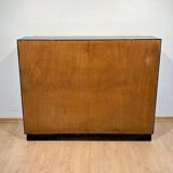 Vintage Bauhaus Office Cabinet in Black Lacquer and Mahogany, 1930