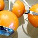 Paire de lampes eyeball orange space age