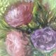 Tableau bouquet de pivoines et fleurs sauvages, années 70