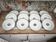 Set of 12 deep plates in Earthenware L'Amandinoise St Amand