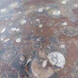 Fossil stone and channel coffee table