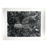 Rosine nusimovici, frost, 1980. black and white silver print signed on the back