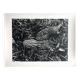 Rosine nusimovici, frost, 1980. black and white silver print signed on the back