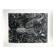 Rosine nusimovici, frost, 1980. black and white silver print signed on the back