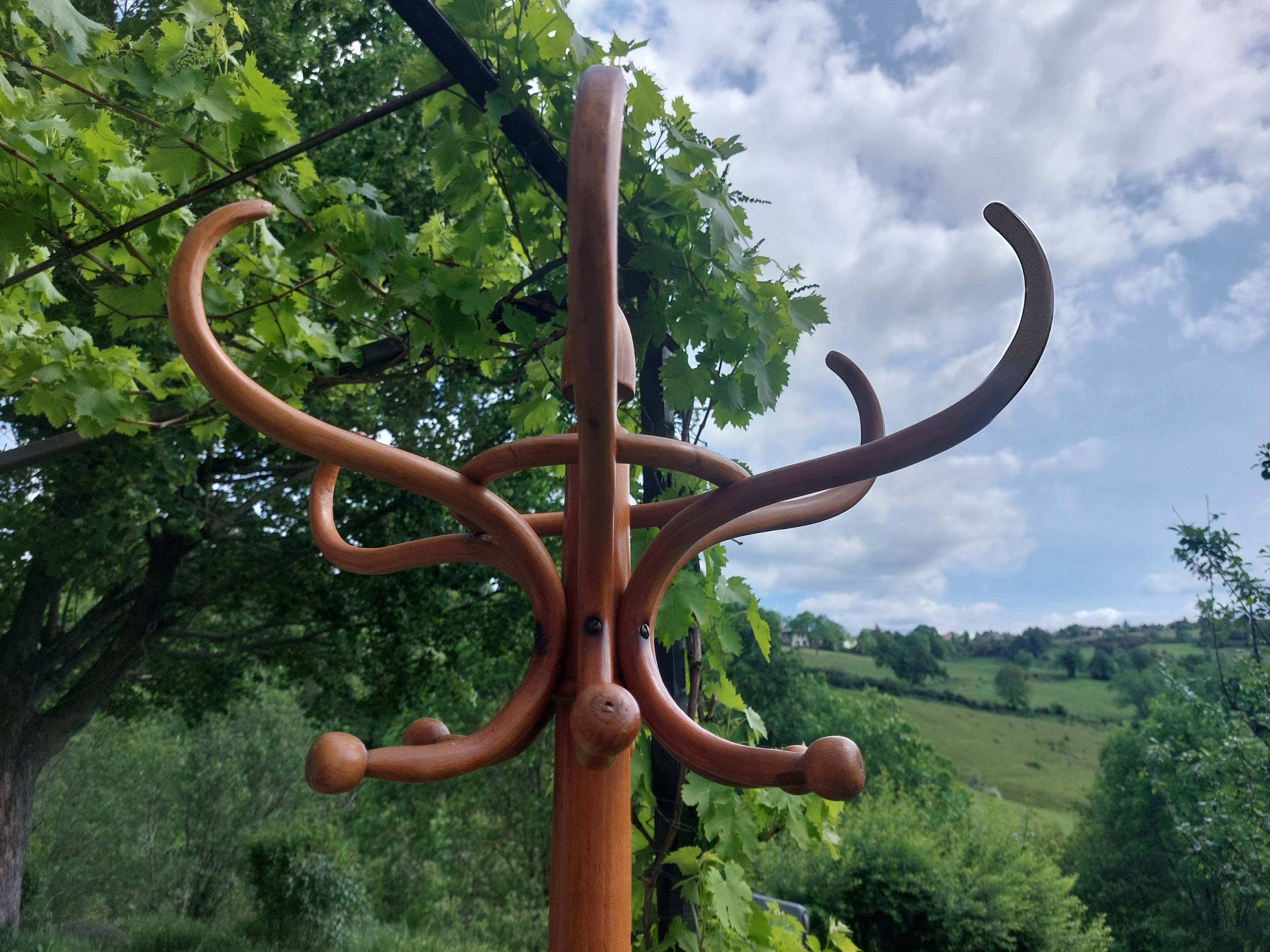 Baumann parrot coat rack