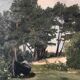 Vintage Original Landscape Oil Painting: Rowboat Nature Art