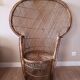 Fauteuil Emmanuelle peacock
