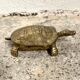 Vintage brass turtle ashtray