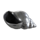Brass shell sculpture