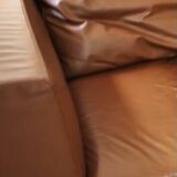 Camel leather sofa Ligne Roset