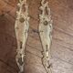 Pair of solid brass cleanliness plates in Louis XV rococo style.
