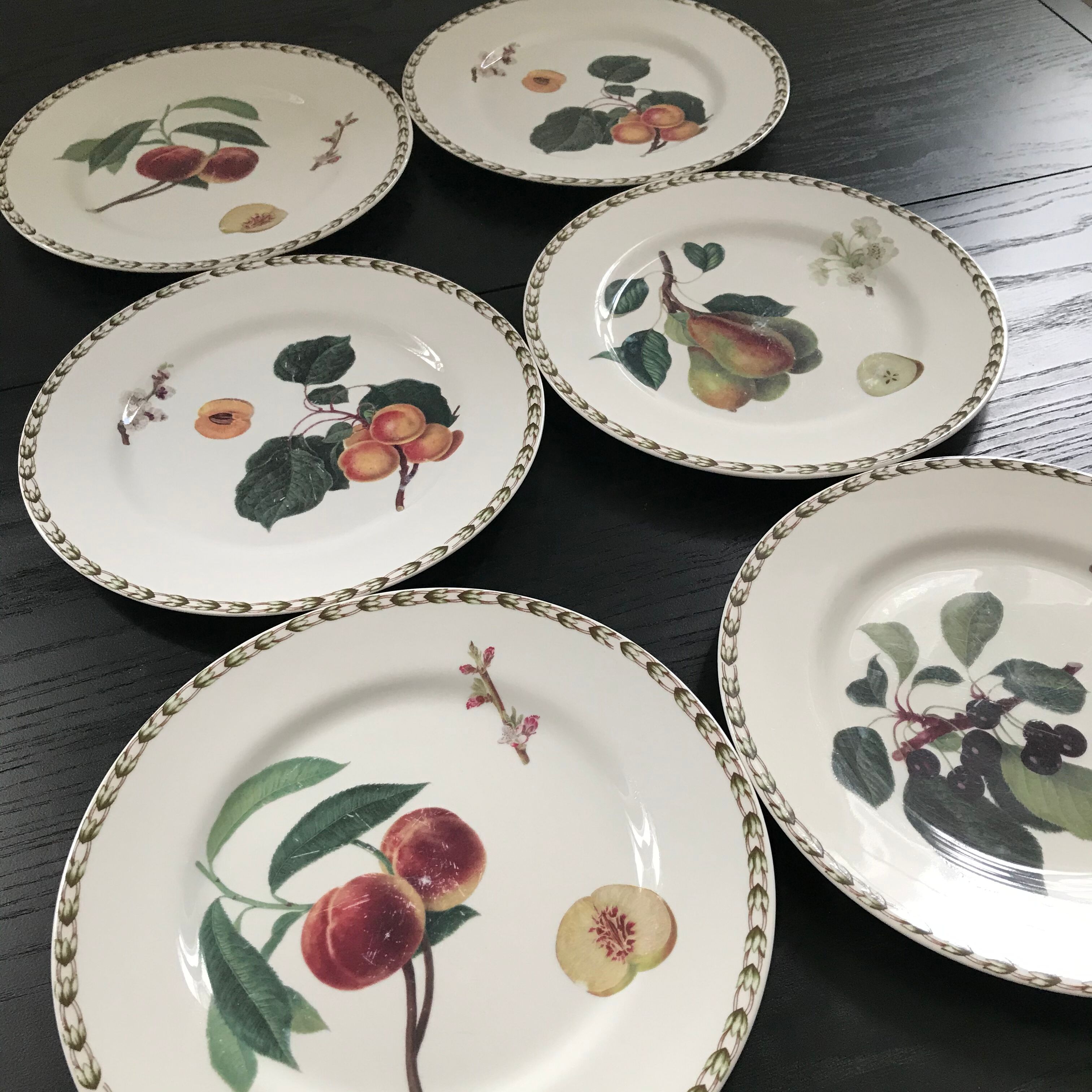 Lot of 6 plates botanical decoration
