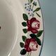 Series of 6 Digoin Sarreguemines hollow plates, model "Piccola"
