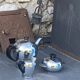 Coffee service consisting of three pieces in chrome and bakelite vintage