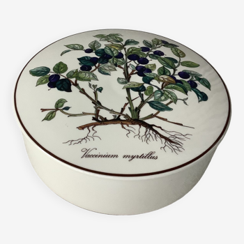 Boîte Villeroy & Boch Botanica en porcelaine Vaccinium myrtilles