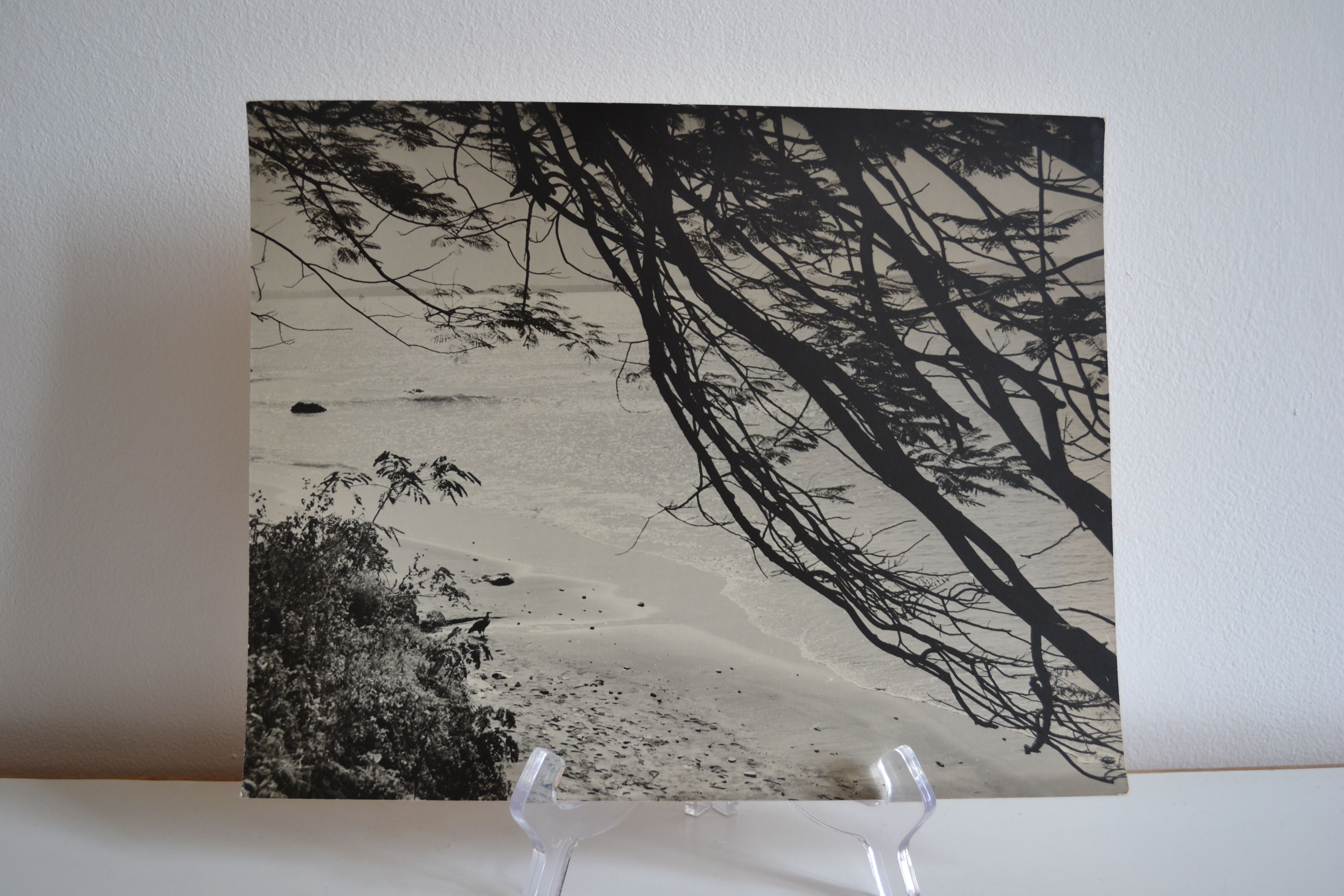Anonymous silver photo africa beach sea circa 1970