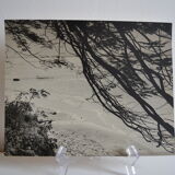 Anonymous silver photo africa beach sea circa 1970