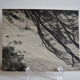 Anonymous silver photo africa beach sea circa 1970