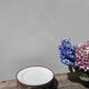 6 flat plates in gilded porcelain and burgundy