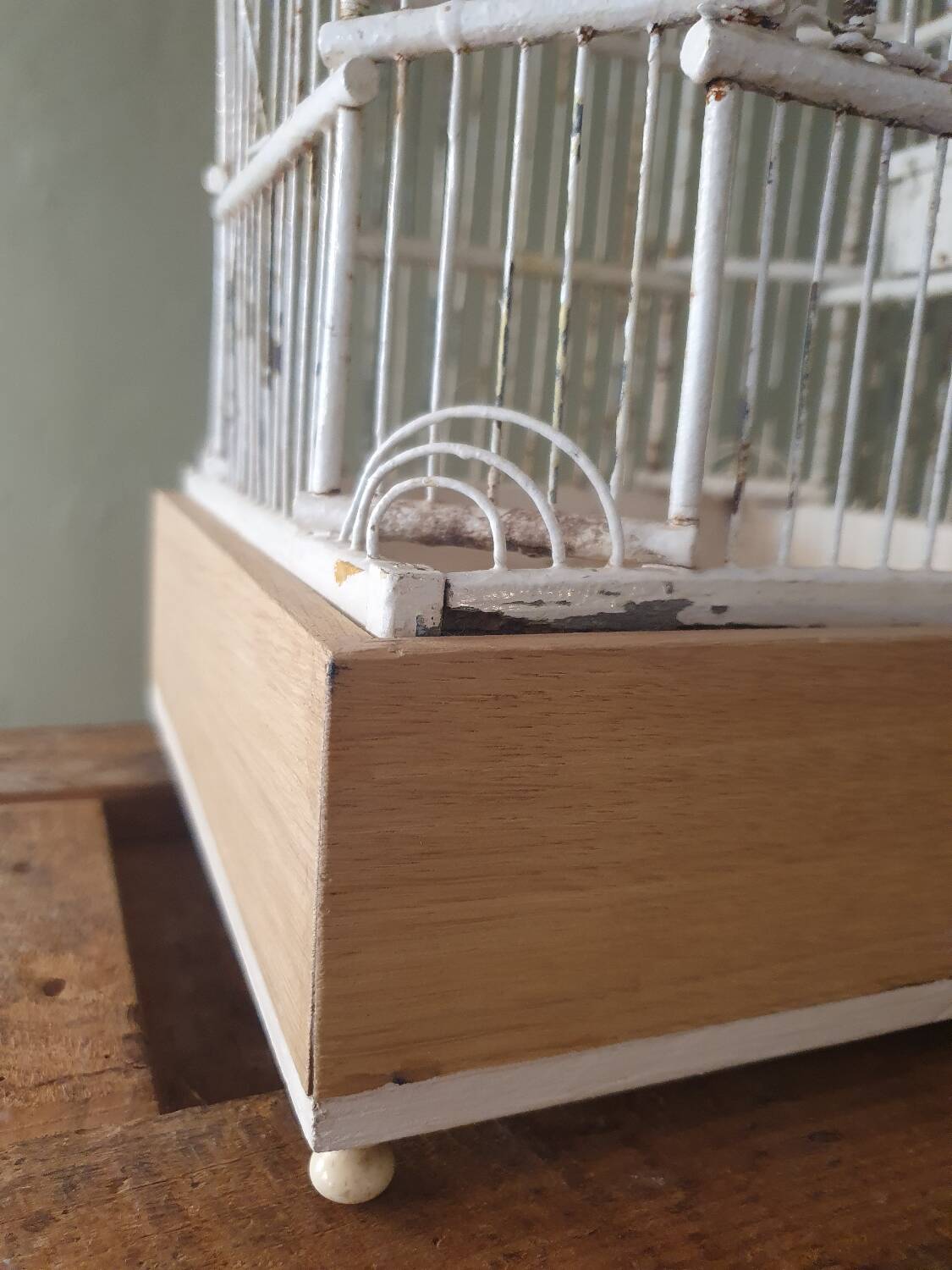 Cage à oiseaux 1900