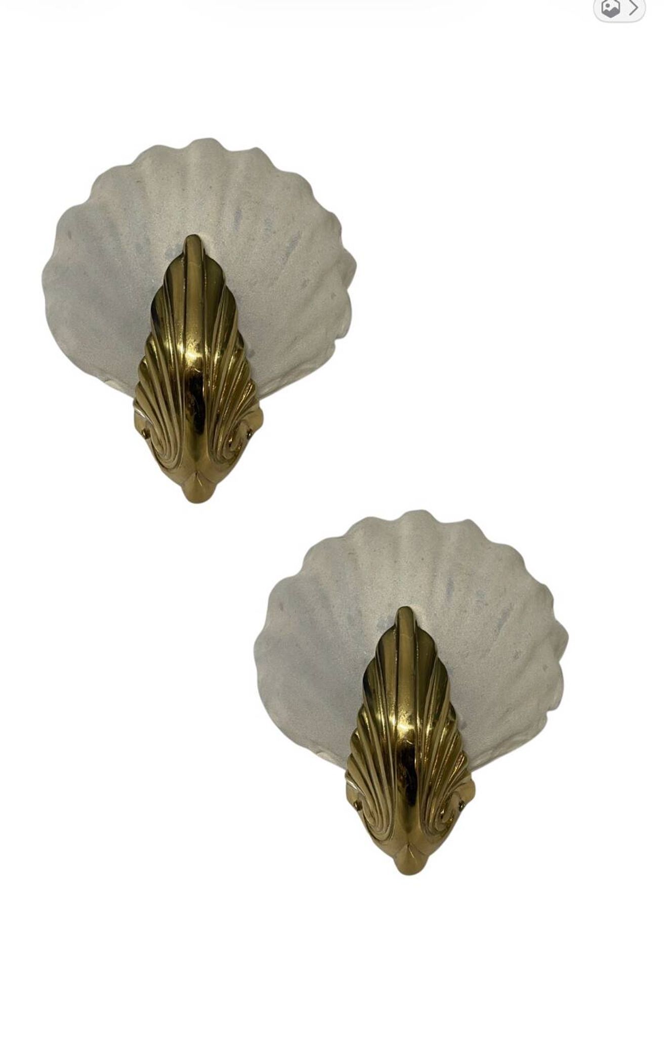Appliques en verre de Murano en forme de coquillage, ensemble de 2