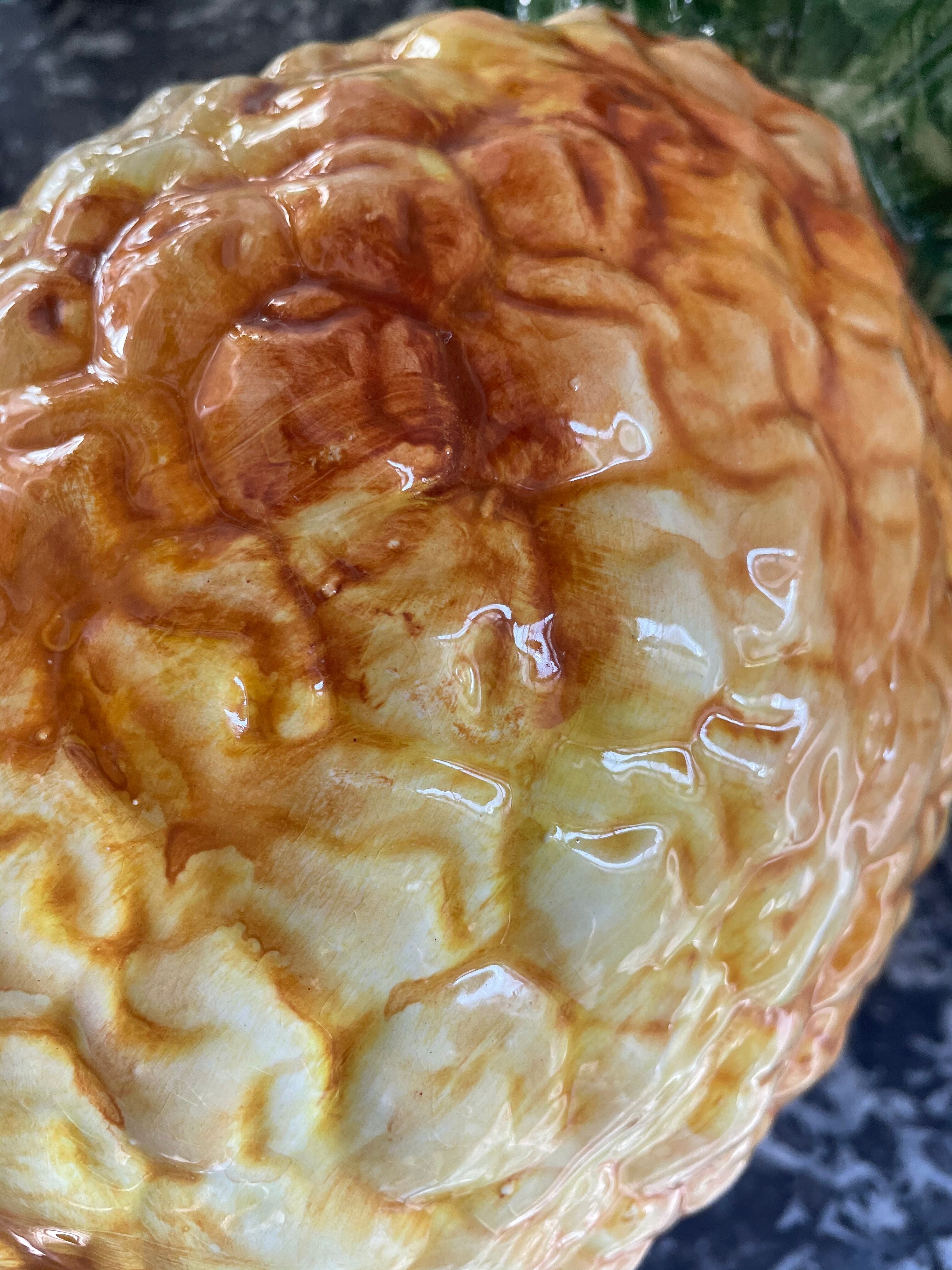 Pineapple pitcher dabbling