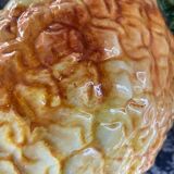 Pineapple pitcher dabbling