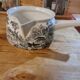 Caquelon villeroy & boch mettlach artemis chasseur chien marcassin bes