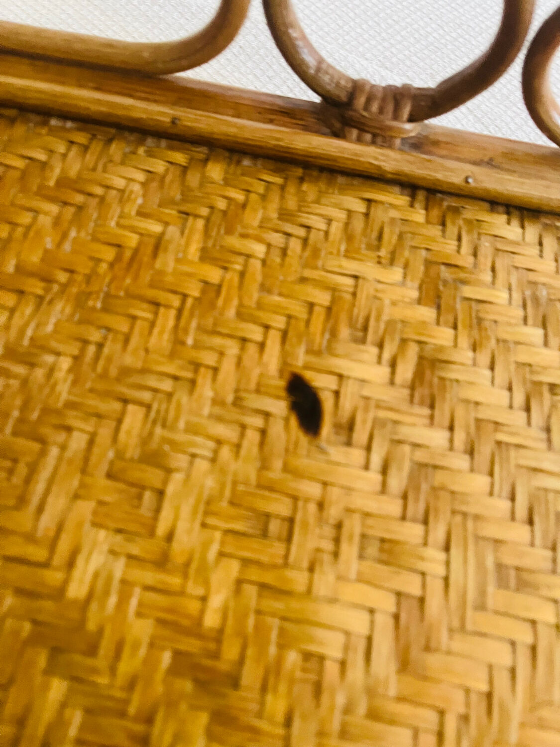 Rattan bedside table chiffonnier