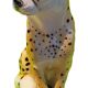 Figurine Guépard Mid-Century en céramique émaillée - 25 cm