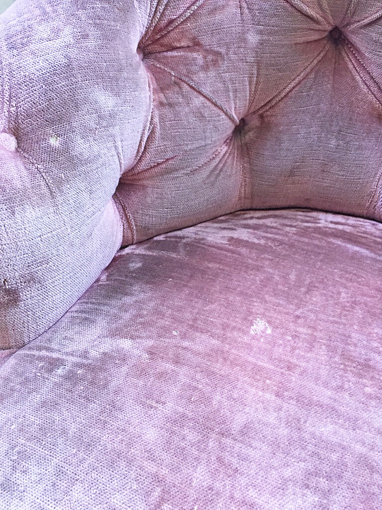 Armchairs pink captionne toad