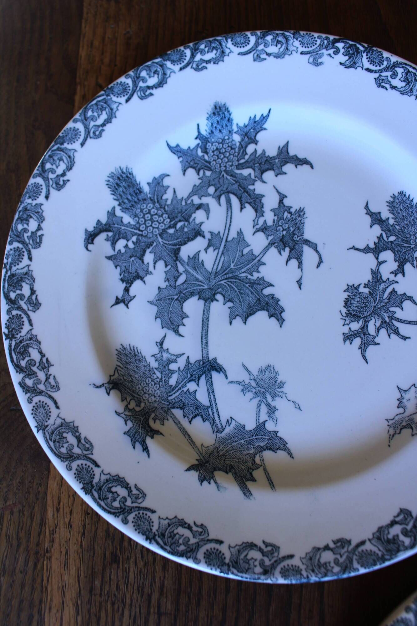 A set of 5 flat plates Chardon Bleu Terre de Fer Clairefontaine Righi
