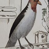 Original ornithological plate " Goldfinch - Grand Tangara -&c..." Buffon (1837)