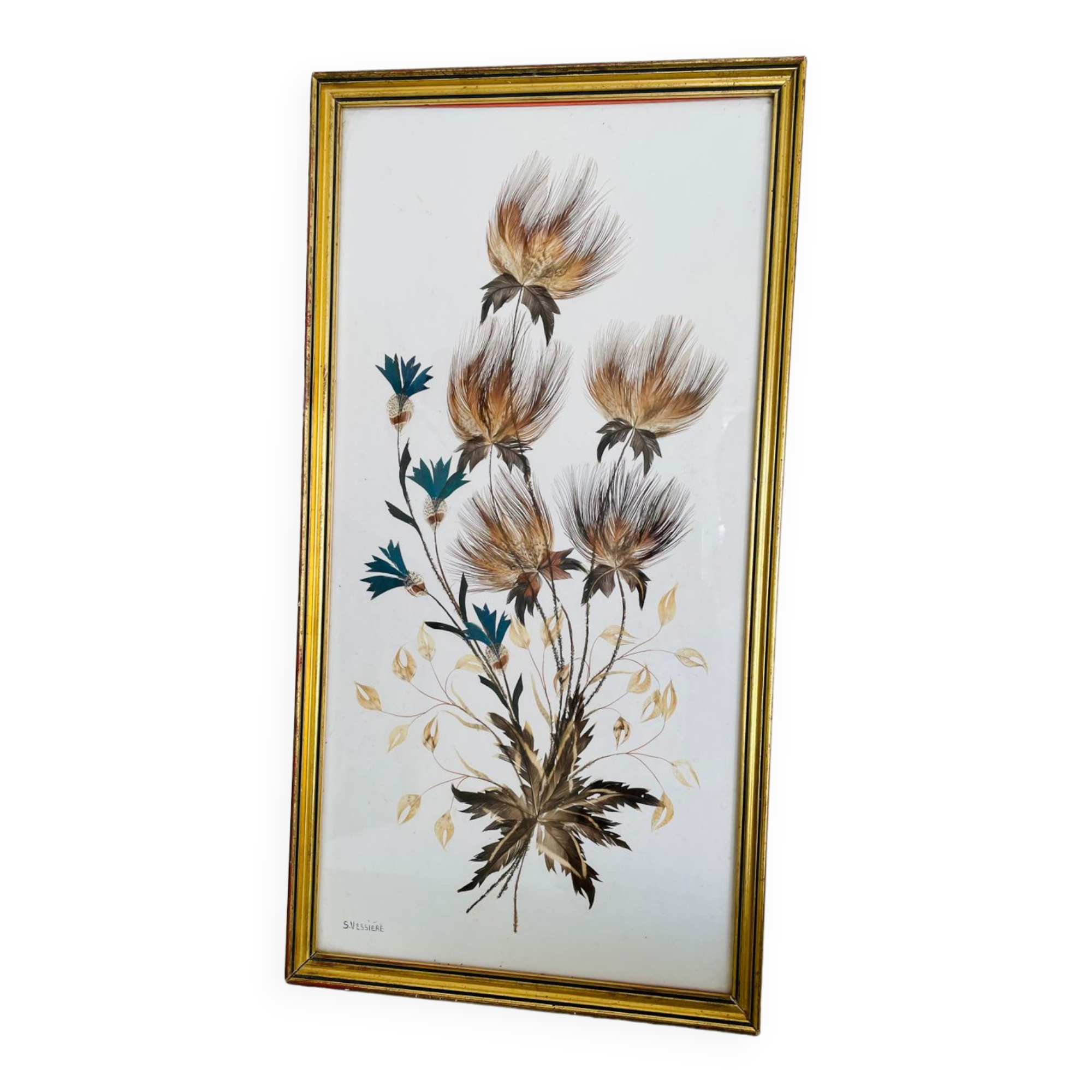 Vintage framing floral feather patterns