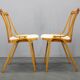 Set of four restored mid-century dining chairs by Jitona