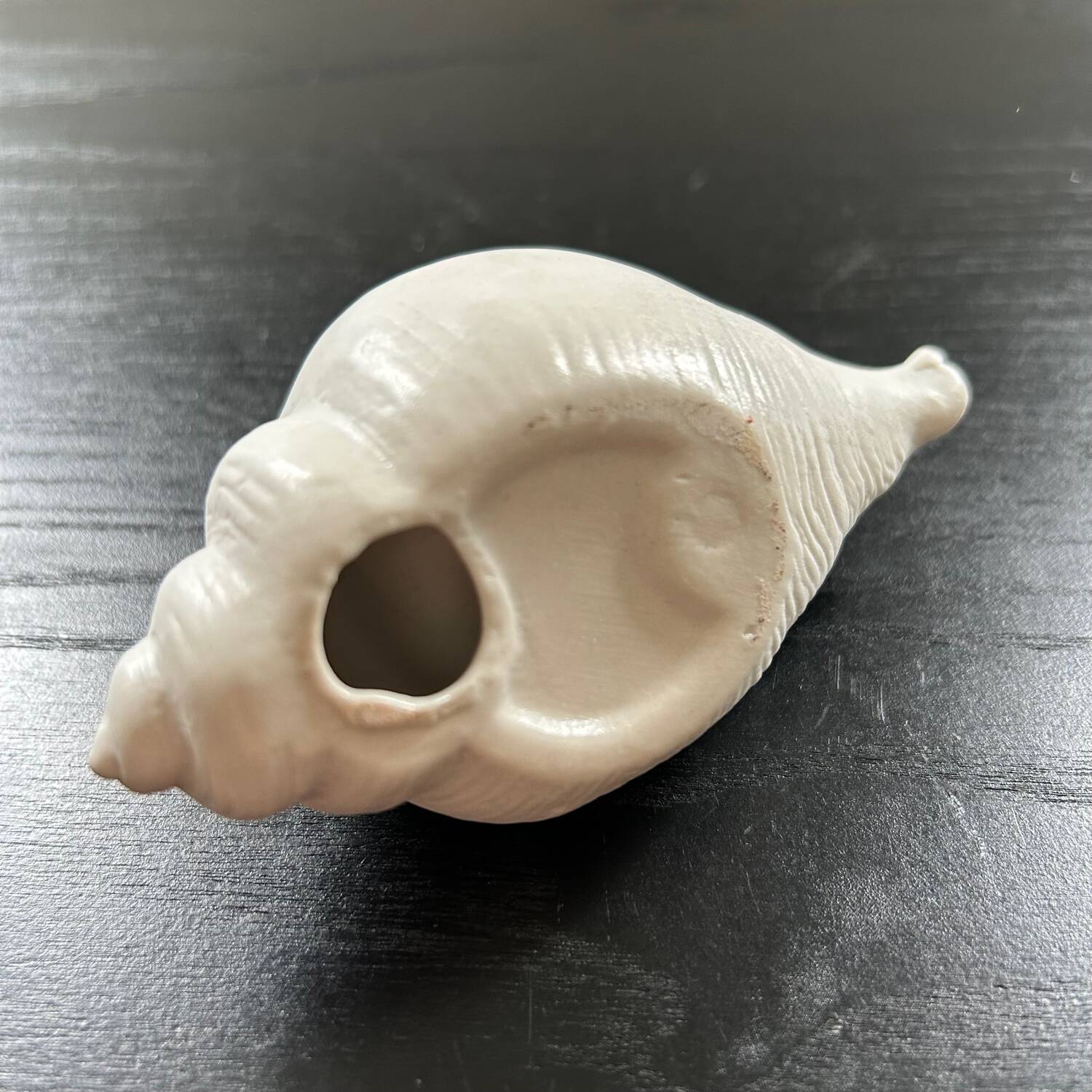 Biscuit shell candle holder