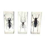 Lot of 3 insects under inclusion resin