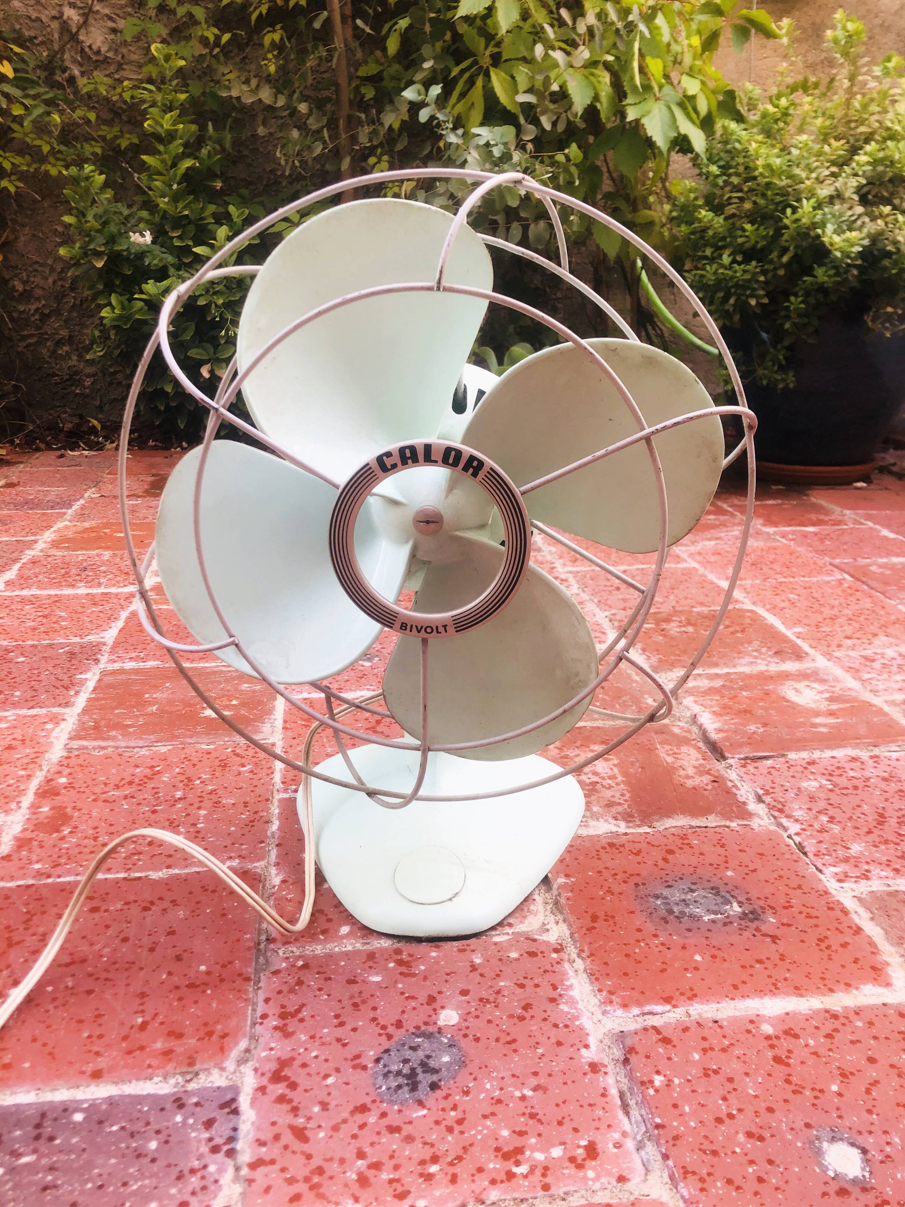 Calor fan