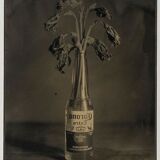 Photography Ambrotype Spring Corona Geng Valerius