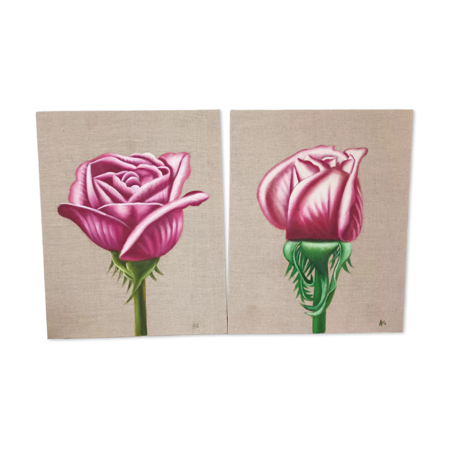 Pair of floral canvas